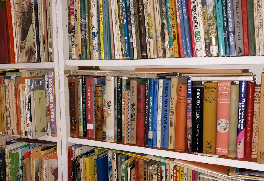Shelves filled with colorful vintage and children's books